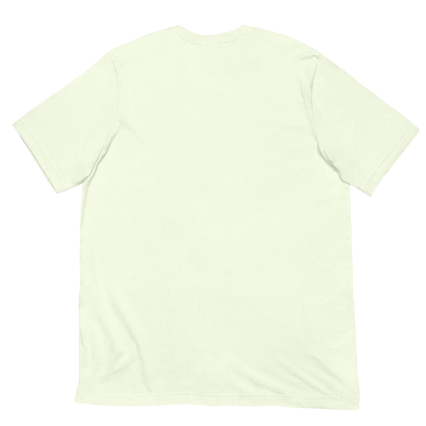 Unisex t-shirt Center Console Boat